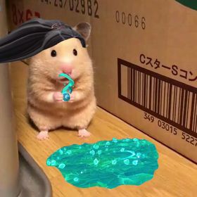 Profile Picture of roxy romero (@brc_lili) on Pinterest