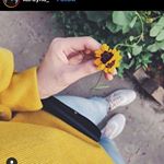 Profile Picture of قمر اليالي (@om.raian_5656) on Instagram