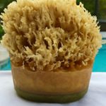 Profile Picture of Ginny Hansen (@ginnylou62) on Instagram