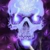 Profile Picture of Scott Shackelford (@scottshackelford1) on Tiktok