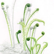 Profile Picture of Peter Ruiz (@peterruiz142) on Youtube