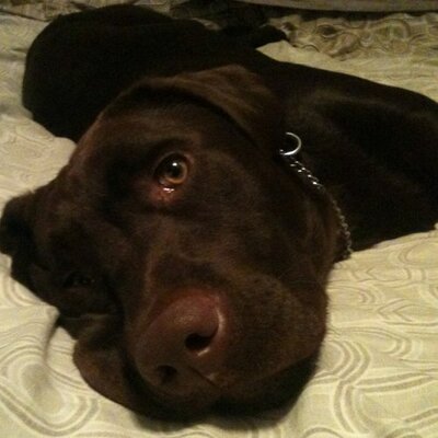 Profile Picture of Adam Corbin (@adamjcorbin) on Twitter