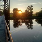 Profile Picture of Josh Shea (@jshea501) on Instagram