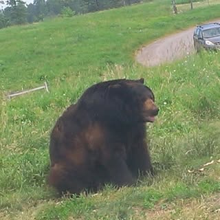 Profile Picture of connor Pratt (@pratt_connor) on Instagram