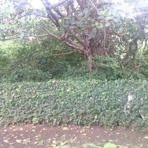 Profile Picture of Paul Faustin Ngoli (@ngoli_paul) on Twitter