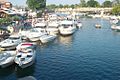 Profile Picture of Tonawanda, New Yorkon Wikipedia