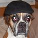 Profile Picture of Craig Poston (@craigpost66) on Pinterest