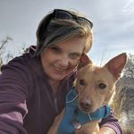 Profile Picture of Wendy Clapsaddle Branine (@wendy.branine) on Instagram