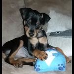 Profile Picture of Jesse Schmucker (@jesseschmucker) on Instagram