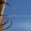 Profile Picture of Timothy  Hinkle (@timothyhinklephotography) on Flickr