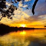 Profile Picture of Tony Tardo (@tonytardo) on Instagram