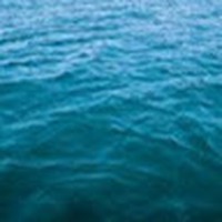 Profile Picture of Katelyn Shea (@katelyn-shea-7) on Quora