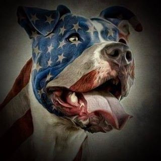 Profile Picture of Jeffery A McPhee (@jeffery.mcphee) on Facebook