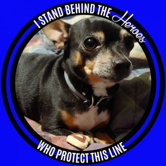 Profile Picture of Joey Curtis (@joeycurtis2009) on Poshmark