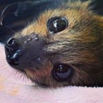 Profile Picture of joseph paul mcnelis (@mastersteve940) on Instagram