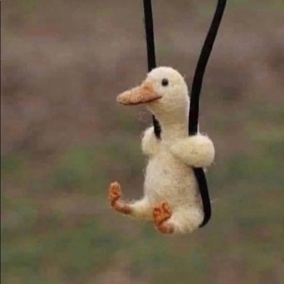 Profile Picture of Paige Mackay (@paige_16_mackay) on Poshmark