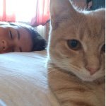 Profile Picture of Ian Pritchard (@ian_ofskie_pritchard) on Instagram