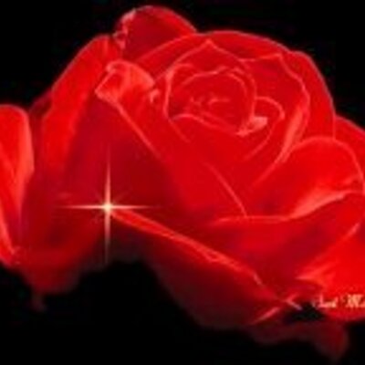 Profile Picture of Brandy Mazingo (@Sweetmelody51) on Twitter