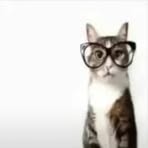 Profile Picture of George Windle (@george.windle.2025) on Facebook