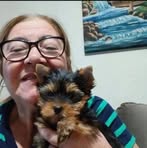 Profile Picture of Wells M Sabrina (@hammadou.adamou.739) on Facebook