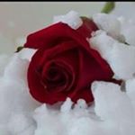 Profile Picture of Amal Hammoud (@amal.hammoud.7906) on Instagram