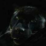 Profile Picture of William Reeder (@reeder.william) on Instagram