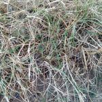 Profile Picture of Joseph de la Mora (@joseph.delamora.1) on Instagram