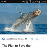 Profile Picture of @darcy.tyrrell12 spams (@narwal_for_the_people) on Instagram