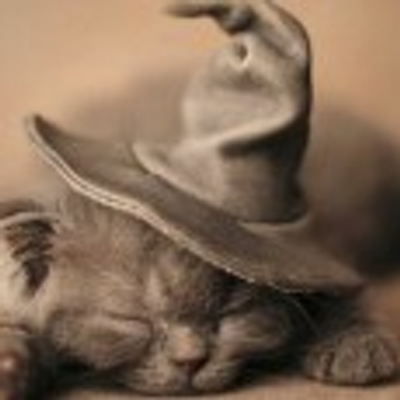 Profile Picture of Zanzibar Jackson (@@KittenSage) on Twitter