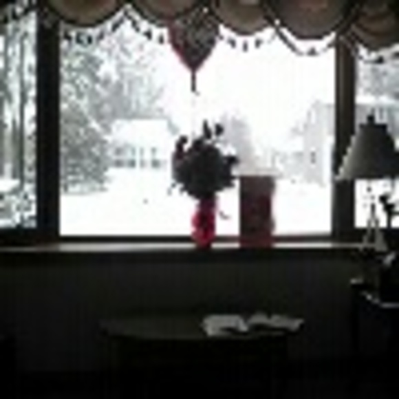 Profile Picture of Sheila Volden (@skvolden) on Poshmark