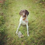 Profile Picture of Paul Dittrich (@brokenboats) on Instagram