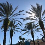 Profile Picture of Bobbi Jo Snyder (@snyderbobbijo) on Instagram