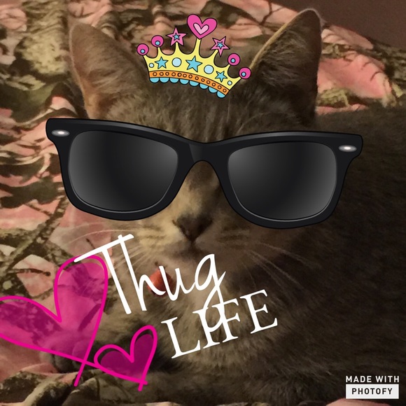 Profile Picture of Allishia Sleva (@_allie_doll_) on Poshmark