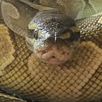 Profile Picture of Brian Cockcroft (@brian.cockcroft.3) on Facebook