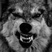 Profile Picture of Benjamin Cornejo (@coonejo20) on Pinterest