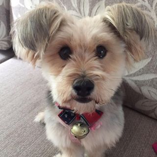 Profile Picture of Bofang Zhang (@bofang.zhang.794) on Facebook