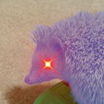 Profile Picture of Mario Minardi (@speed_of_sound_sanic) on Instagram