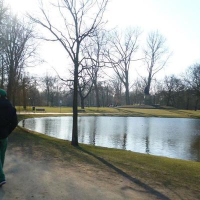 Profile Picture of Hugo D. Collado (@HugoCollad0) on Twitter