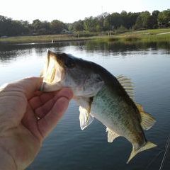 Profile Picture of markabercrombie12 (@markabercrombie12) on Tiktok