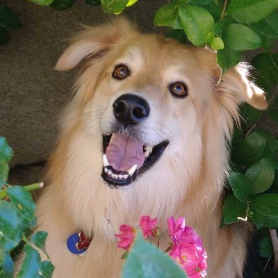 Profile Picture of Corona Bryrus (@ClubMasterBryan) on Twitter