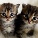 Profile Picture of Berta Nicholson (@berta1105) on Pinterest