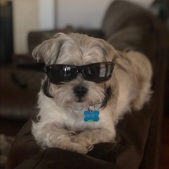 Profile Picture of Vianey Reinhardt (@vreinhardt02) on Poshmark