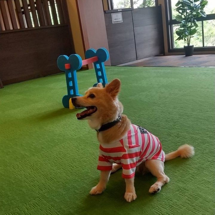 Profile Picture of AprilBarker (@kevonfxs9gy) on Tiktok
