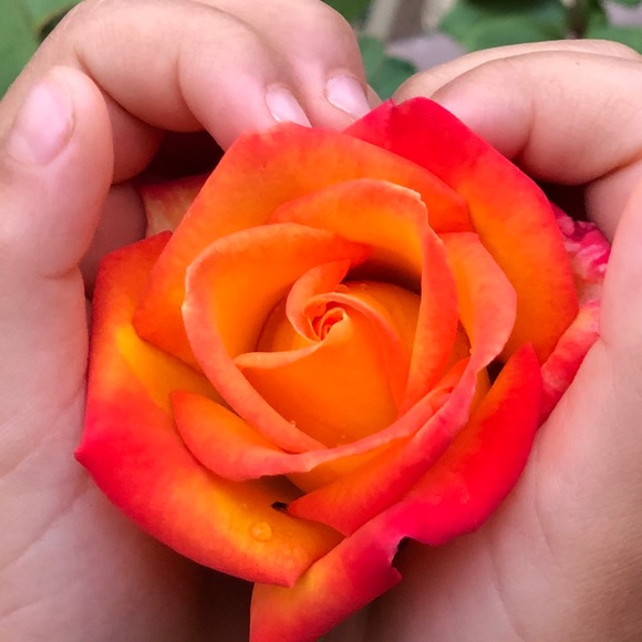 Profile Picture of Mariela Hession (@lbcmom12) on Poshmark