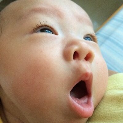 Profile Picture of Alexander Shen (@AlexanderShen8) on Twitter