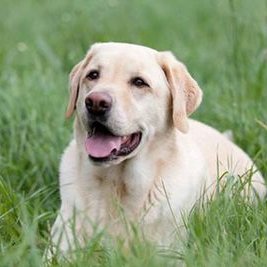 Profile Picture of Kathi Bender ♥ (@KathiBender2) on Twitter