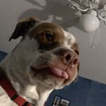 Profile Picture of Travis Porter (@travisx35) on Instagram