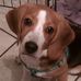 Profile Picture of Glenda Durham Boyle (Glenda Durham Boyle) (@Glenda.Durham.Boyle) on Facebook