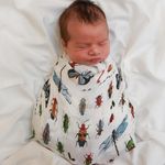 Profile Picture of Lisa Smith Byrd (@lisa.s.byrd.75) on Instagram