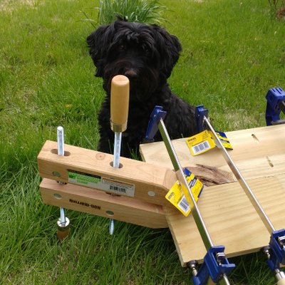 Profile Picture of Benjamin Sheridan (@BentheLitigator) on Twitter